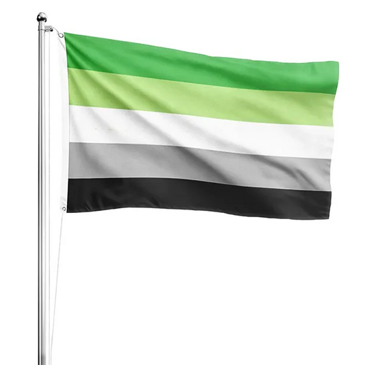 Drapeau Aromantique