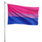 Drapeau Bisexuel
